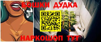 jwh Ставрополь