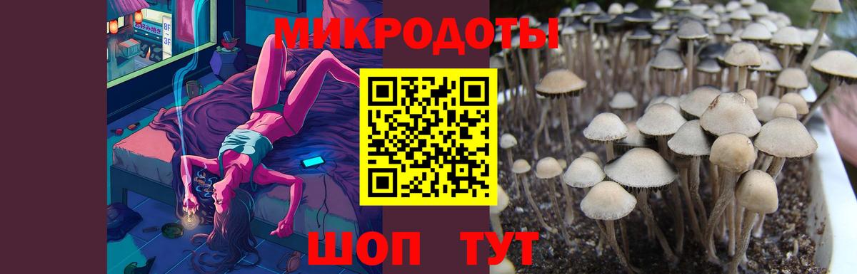 Галлюциногенные грибы мицелий Октябрьский