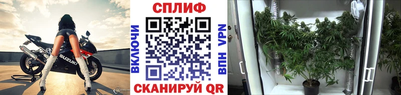 гидра вход  Октябрьский  Бошки Шишки SATIVA & INDICA 